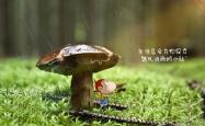开云体育平台APP-红绿狂想曲，当C罗的绝唱撞上卢卡库的铁蹄—2026世界杯E组降维打击背后的战术启示录