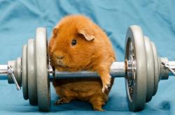 开云体育-雨幕中的热战，韩国险胜印度，桃田贤斗点燃冰冷赛场