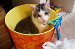 开云体育官网-以索伯之名，刻写红牛之心