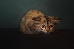 开云sport-两极之间，ATP总决赛鏖战法网，鲁德的高光之谜