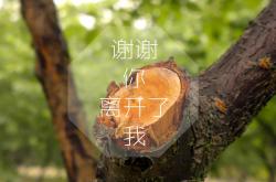 开云体育平台APP-红龙低语之夜，李刚仁600年一遇的优雅绝杀，如何封印了巴黎的叹息