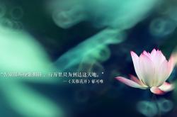 开云体育APP下载-非洲风暴撕碎蓝军铁幕，皮克式杀伤哲学如何助尼日利亚完成弑神壮举