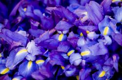 开云体育登录-浙江队强压火箭！恩比德竟成大洋彼岸的关键先生