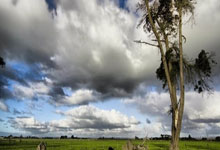 开云体育官网-雷诺车队碾压哈斯车队，汉密尔顿统治全场