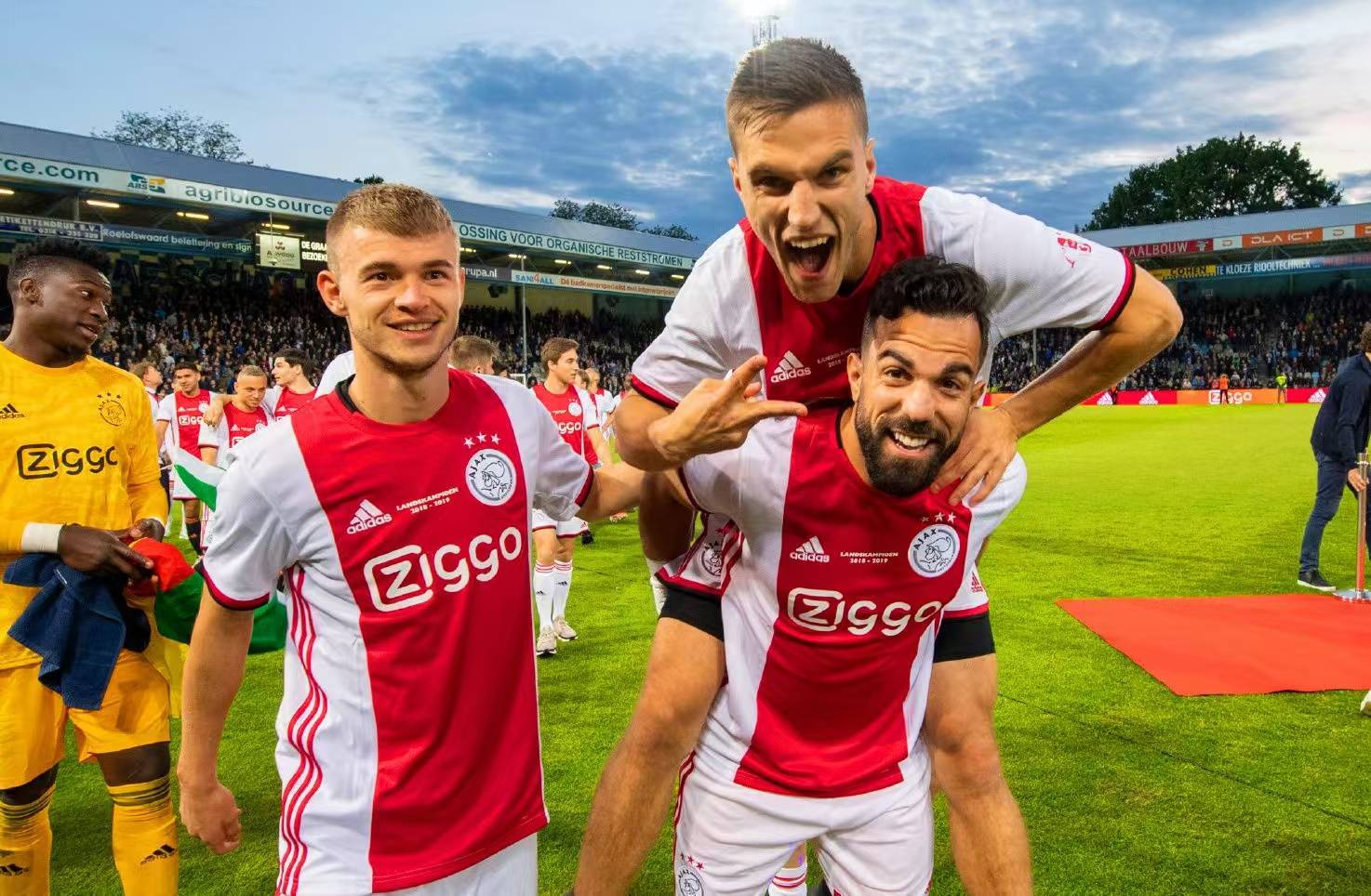 英格兰血洗日本，弗拉霍维奇高光表现