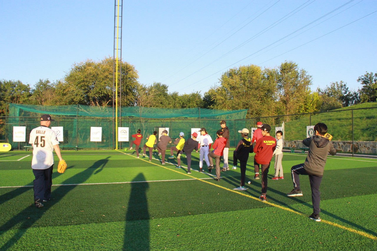 棒球明星选手受伤退赛，引发热议