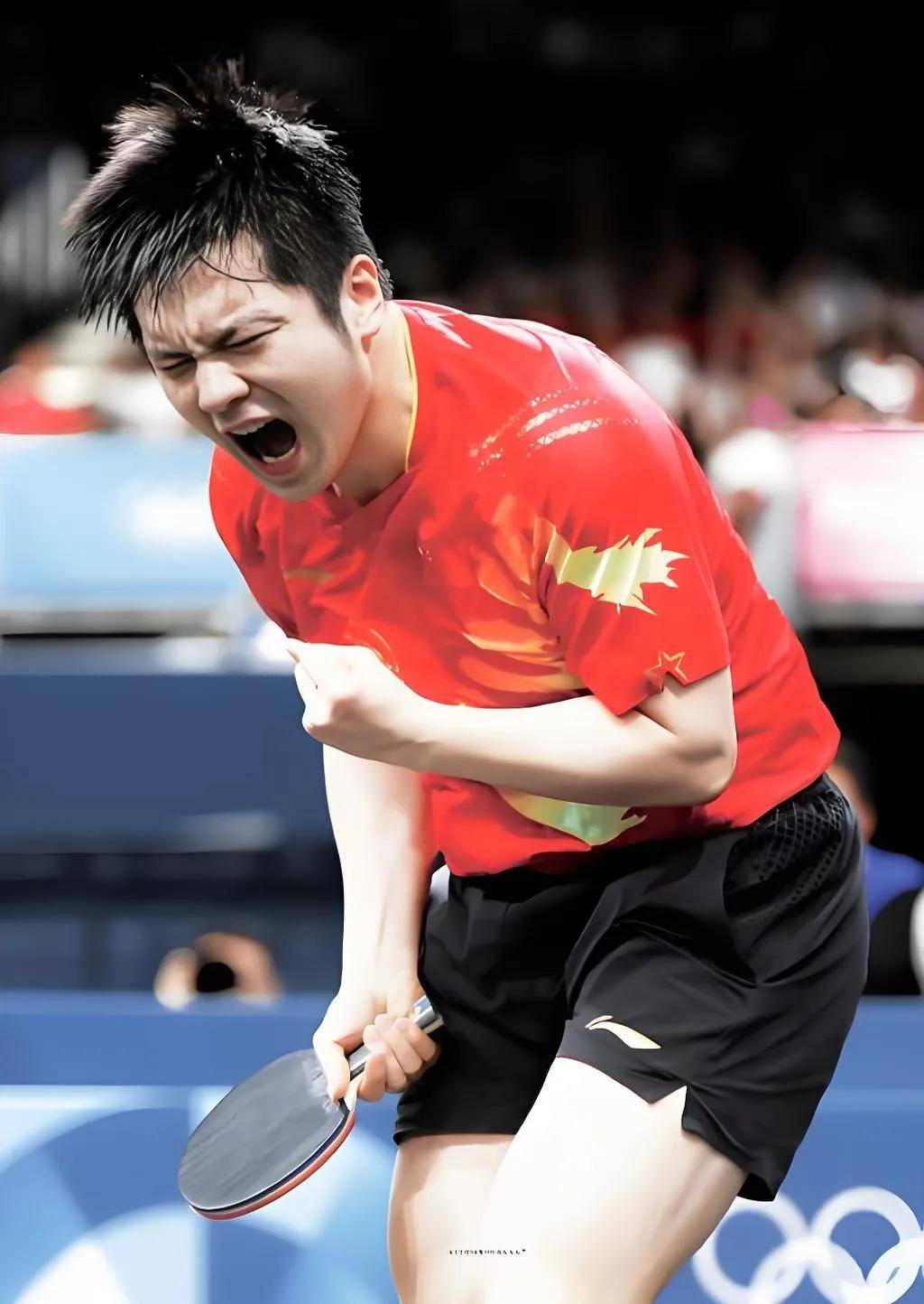 瑞典队碾压法国队，樊振东点燃赛场