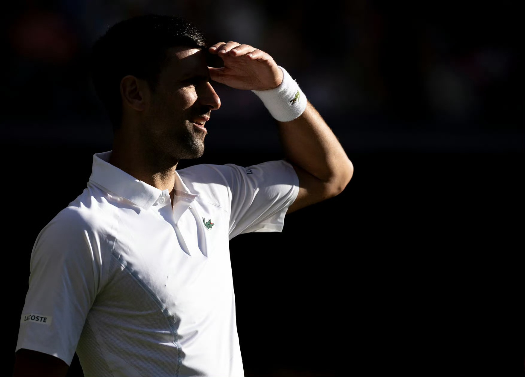 温网绝杀年终总决赛，梅德韦杰夫带队取胜