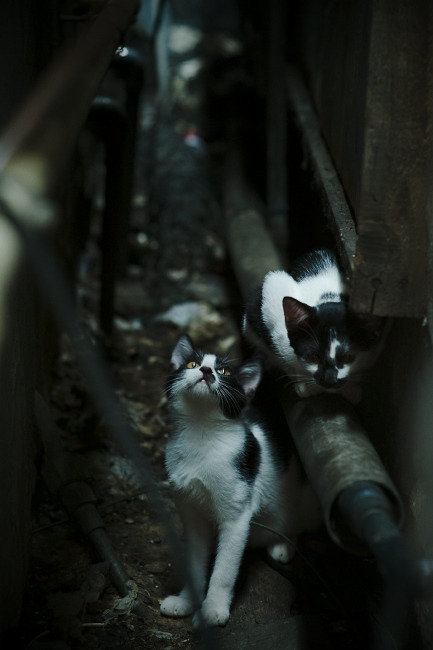 冰与火之歌，当苏亚雷斯的绝杀遇上格列兹曼的焰火