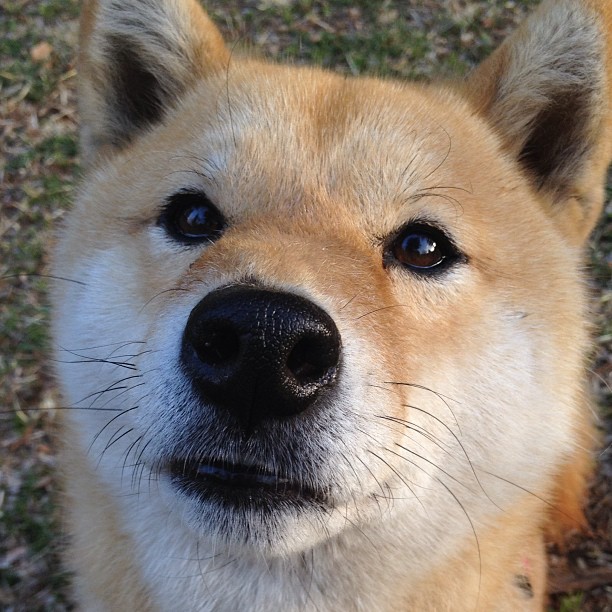 状态之火，何以燎原？