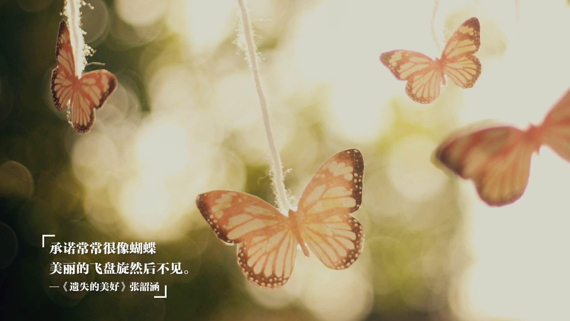 唯一性的足球史诗，玻利维亚压制雷恩与莱万欧冠半决赛的统治