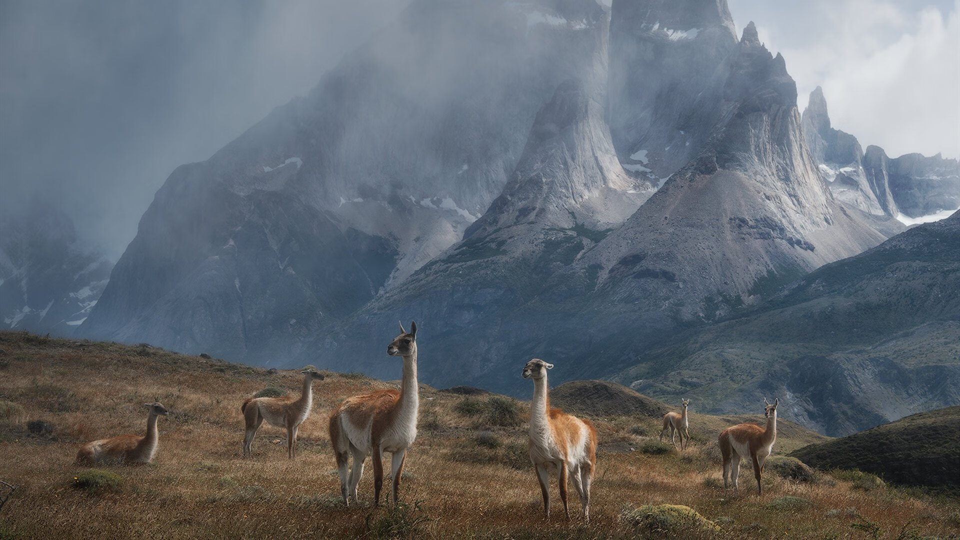 哈利伯顿疯狂传射！吉林队上演闪电战击溃北京队