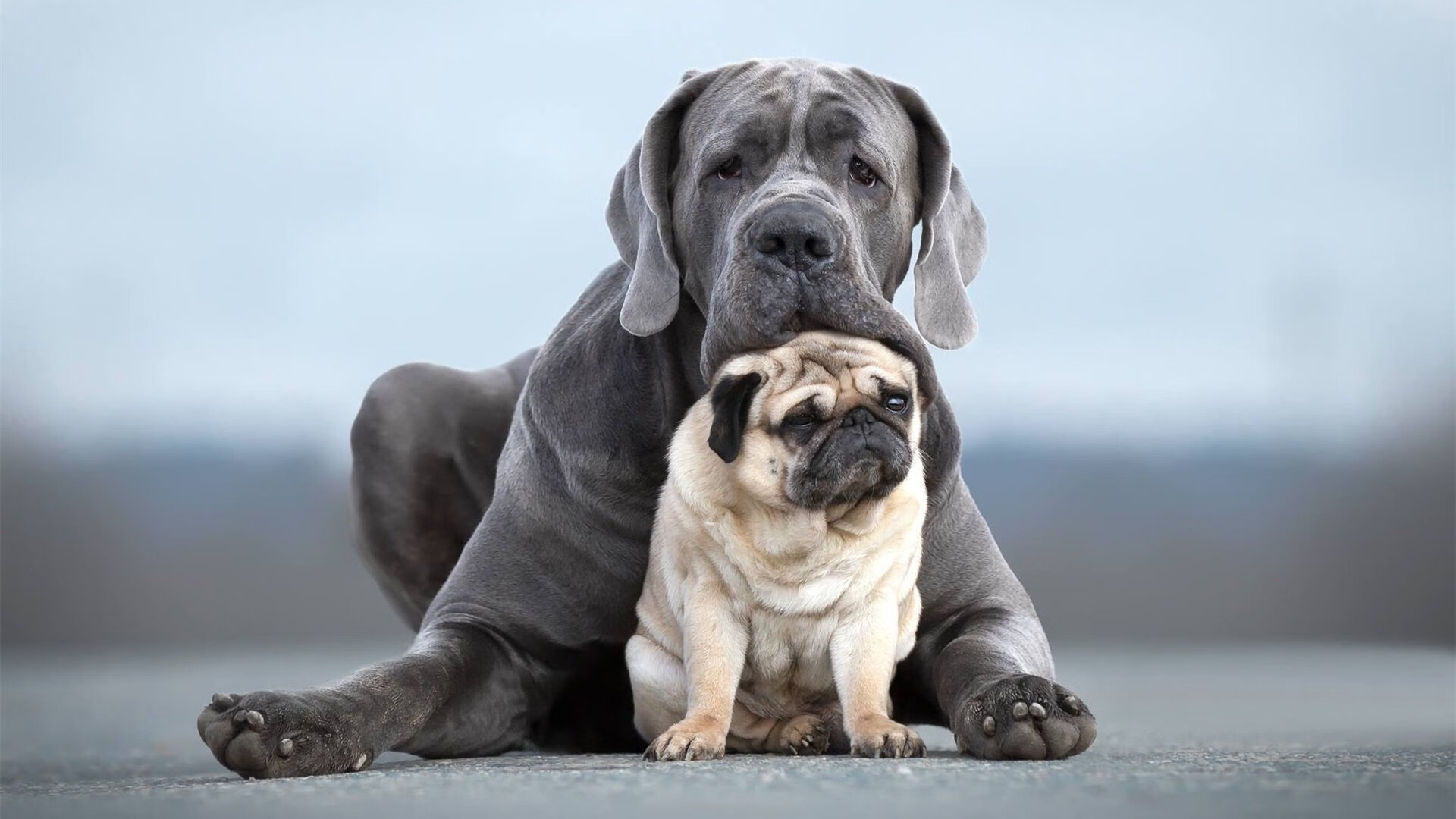 淬炼四年,一战倾城,比利亚雷亚尔的奥运周期关键战如何击穿曼城王朝