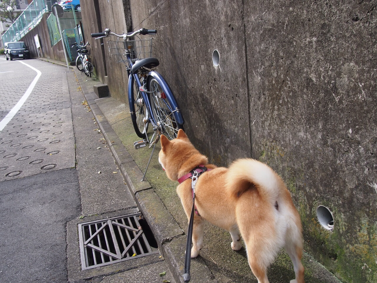 工业废土上，一台精密机器如何肢解生锈的钢铁森林