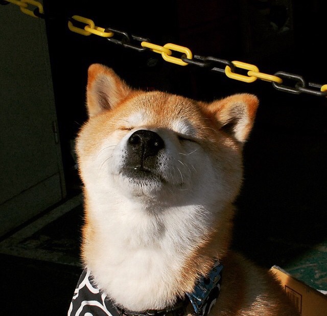 若日尼奥倒勾惊雷震诺坎普,巴萨单节三分击溃利物浦