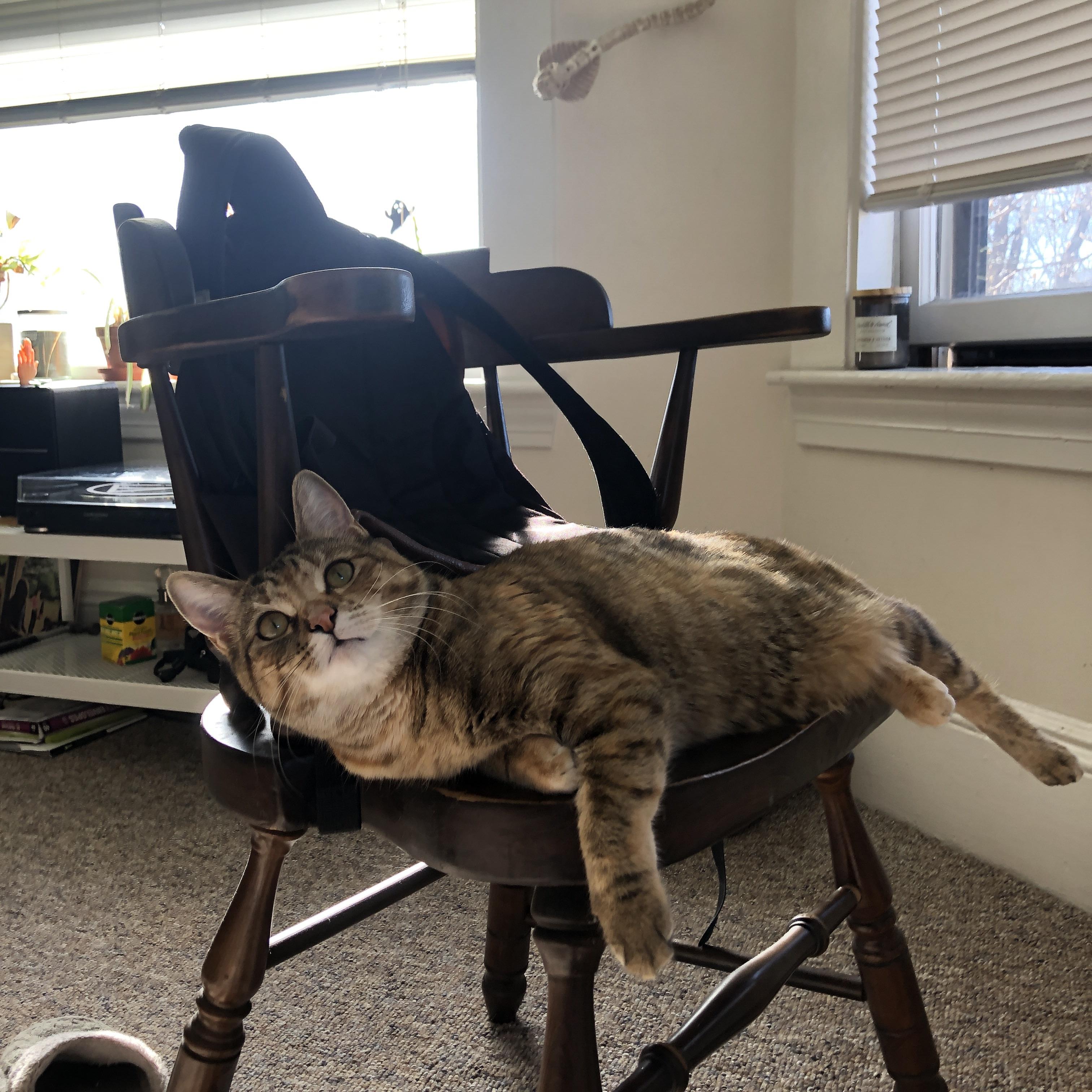 用数据铭刻时代，当莱万在欧冠之夜完成了对防线的理论解构