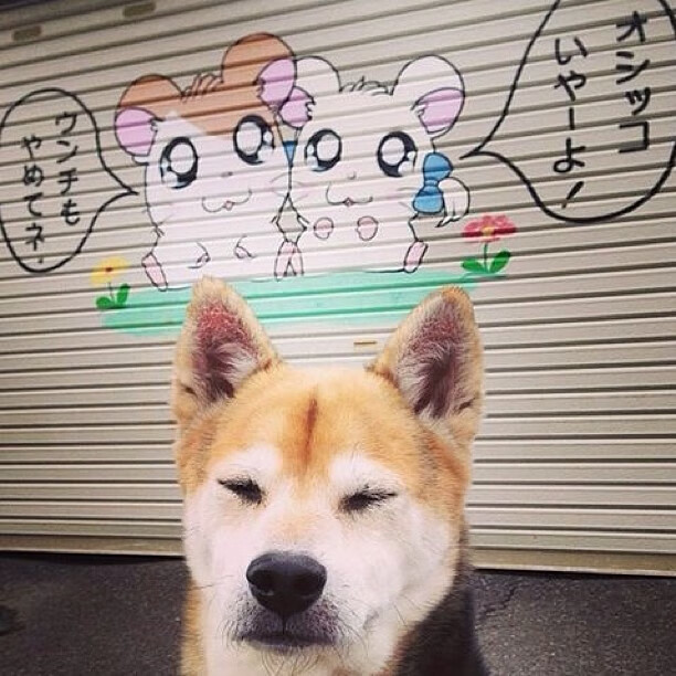 颠覆叙事,曼城节拍器在伯纳乌奏响的德比变奏曲