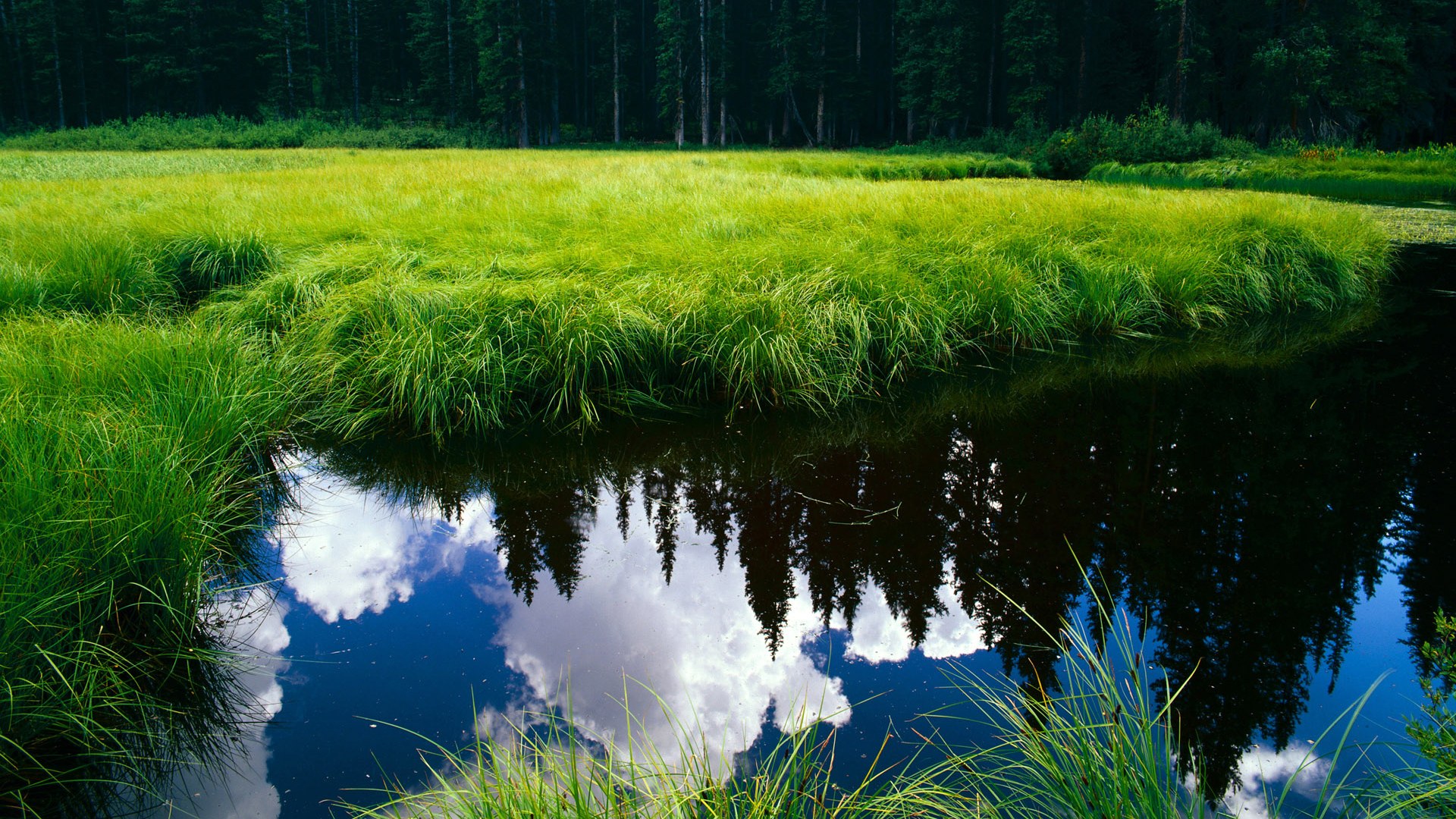 哈登方向盘后的跨界绝杀，从NBA助攻王到F1弯道的主宰者