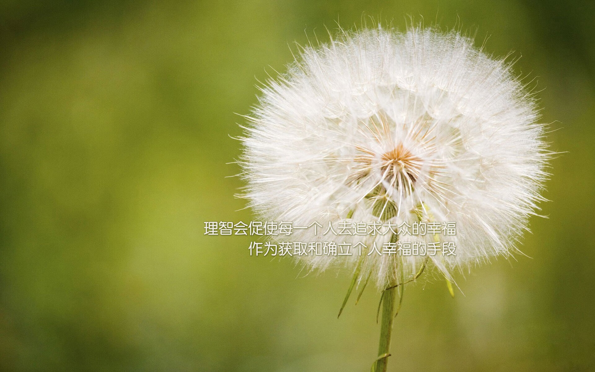 平行时空，当篮球抢七的硝烟里，升起智利与芬兰的足球战歌