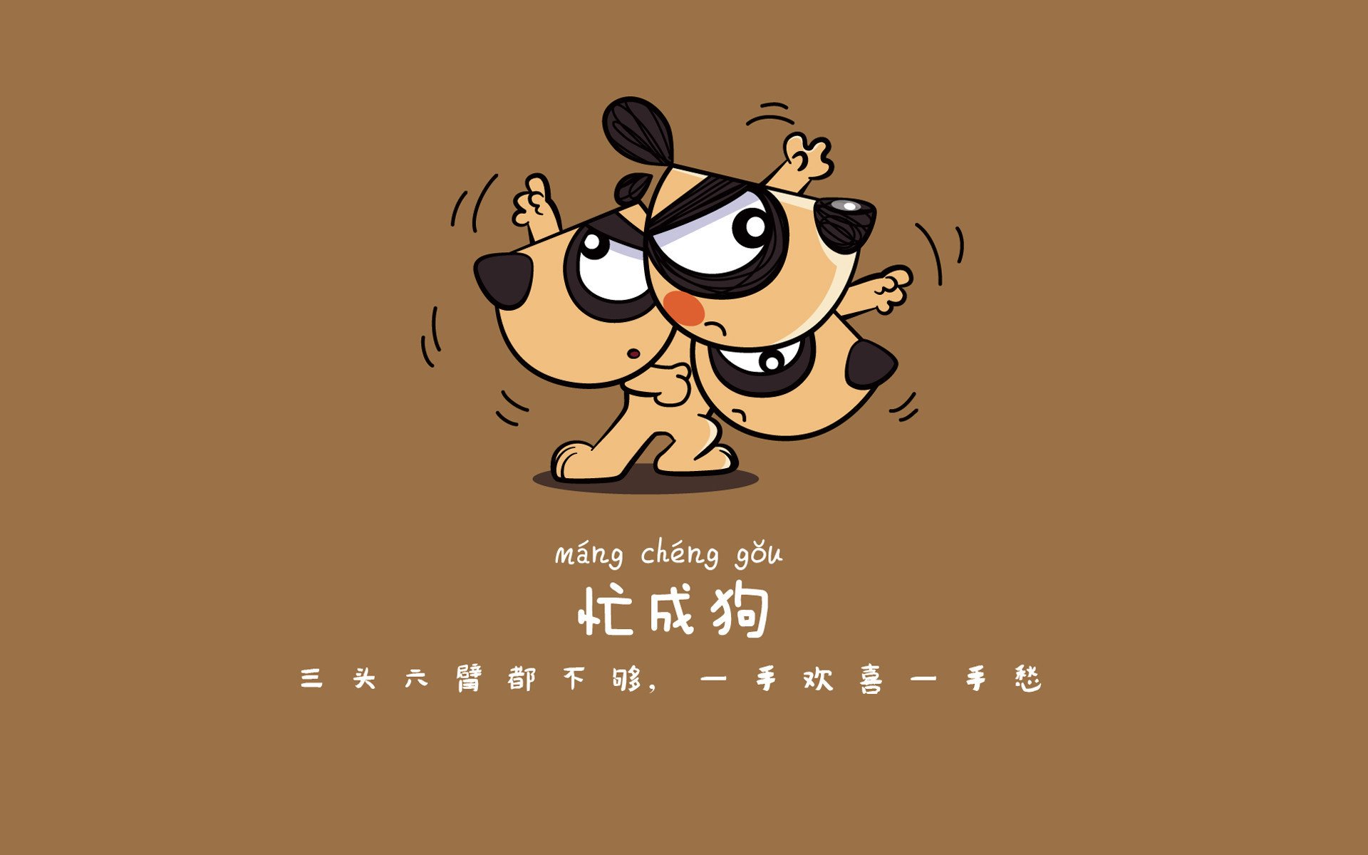 风暴之巅，2026世界杯B组，厄瓜多尔横扫喀麦隆，范戴克以一己之力定义唯一