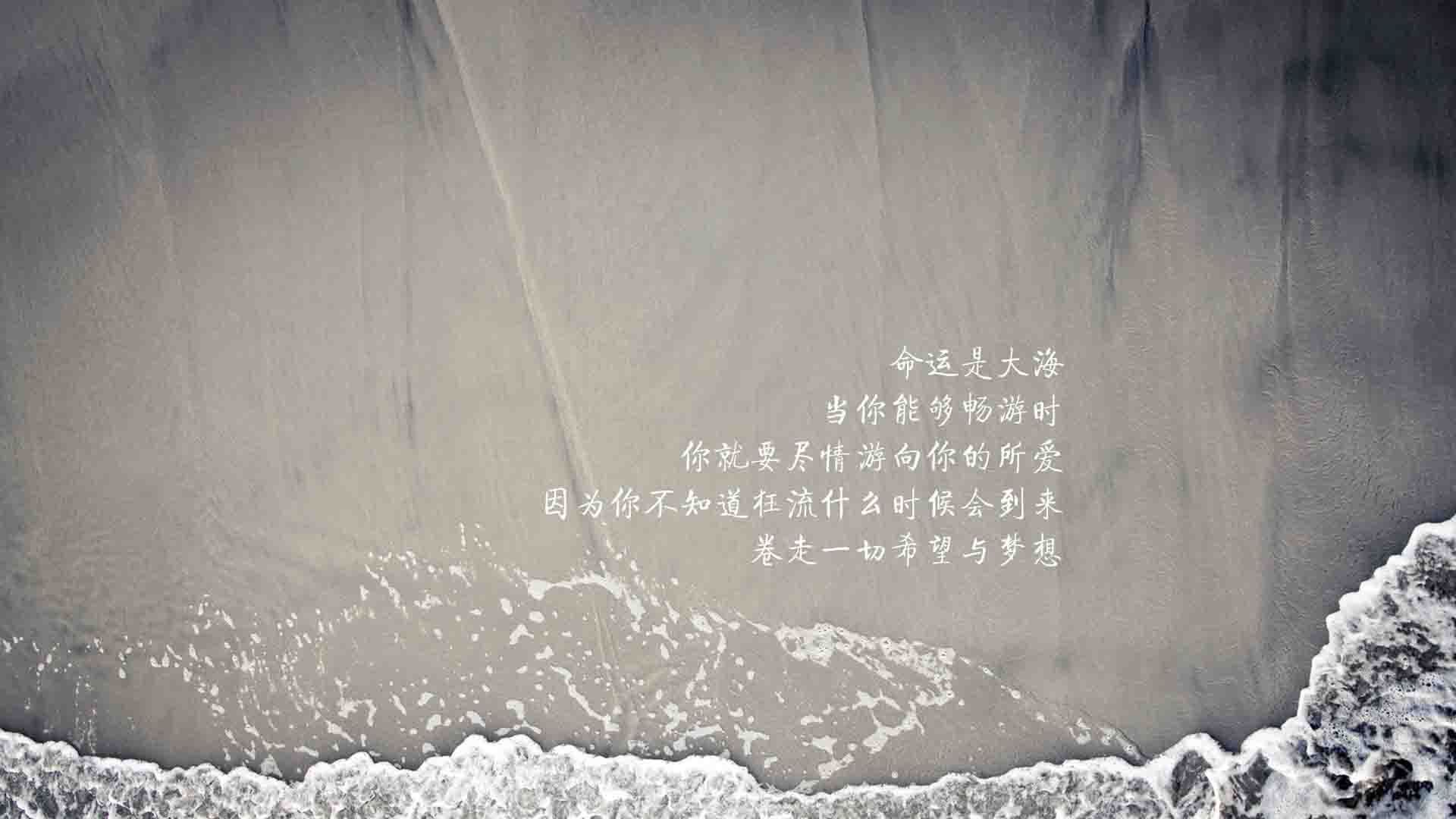 蓝衣孤骑，突尼斯2026年世界杯的致命一击，与一个北非神话的诞生