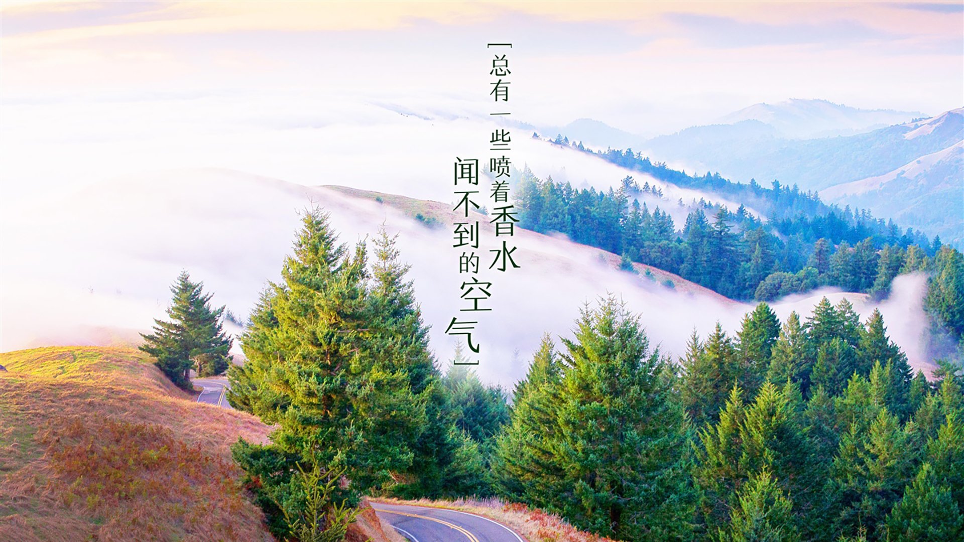 唯一的剧本，2026世界杯A组，印度风暴击穿哥伦比亚，久保建英的孤勇者宣言