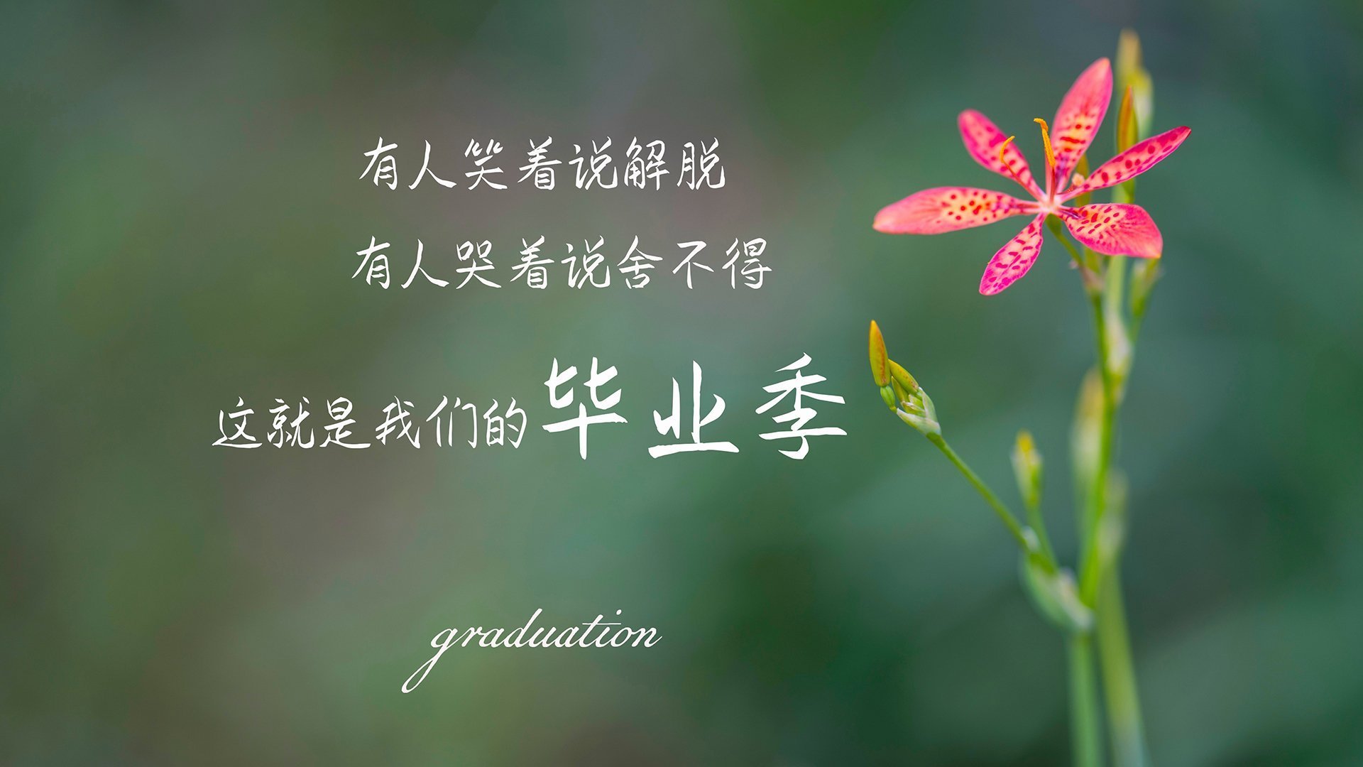 绝境之下的钢铁意志，喀麦隆逆转伊朗，卢卡库致命一击彰显唯一法则