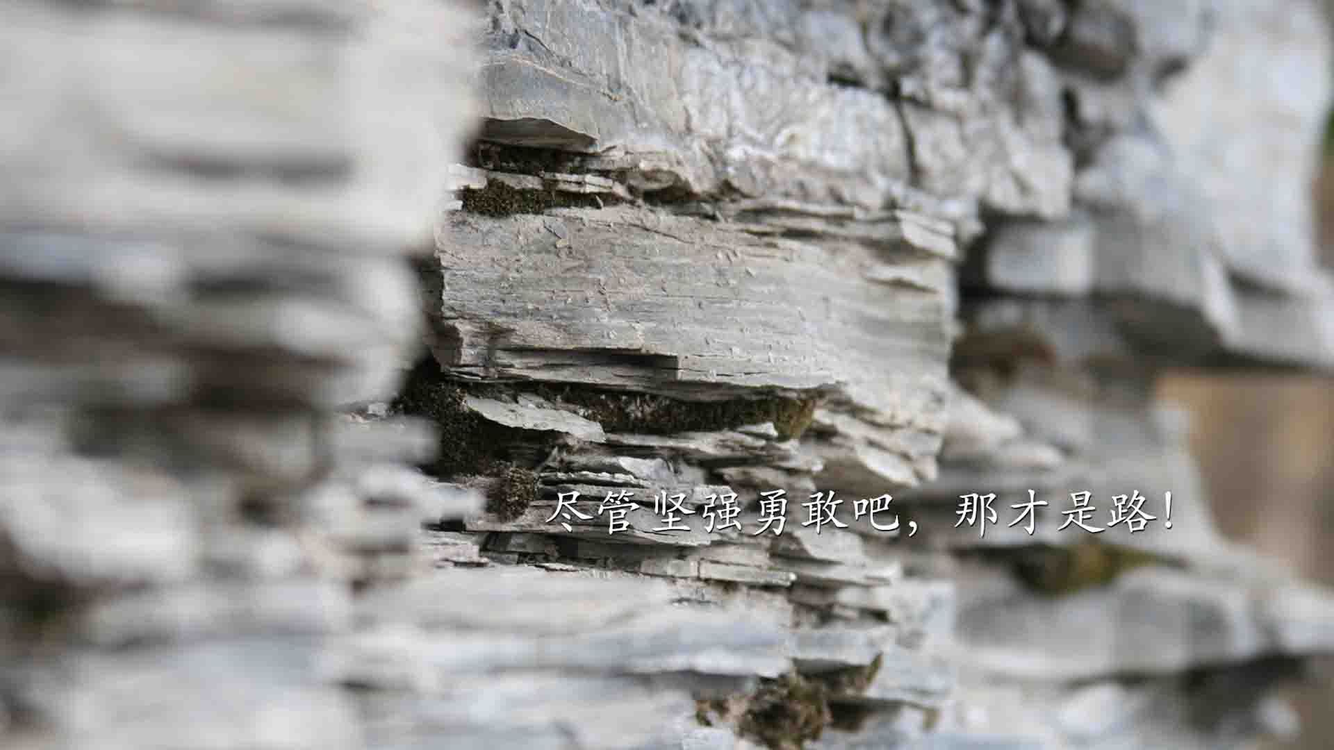 诸神黄昏的序章，当哈兰德撕裂钢铁战车，2026世界杯F组的王座已悄然易主