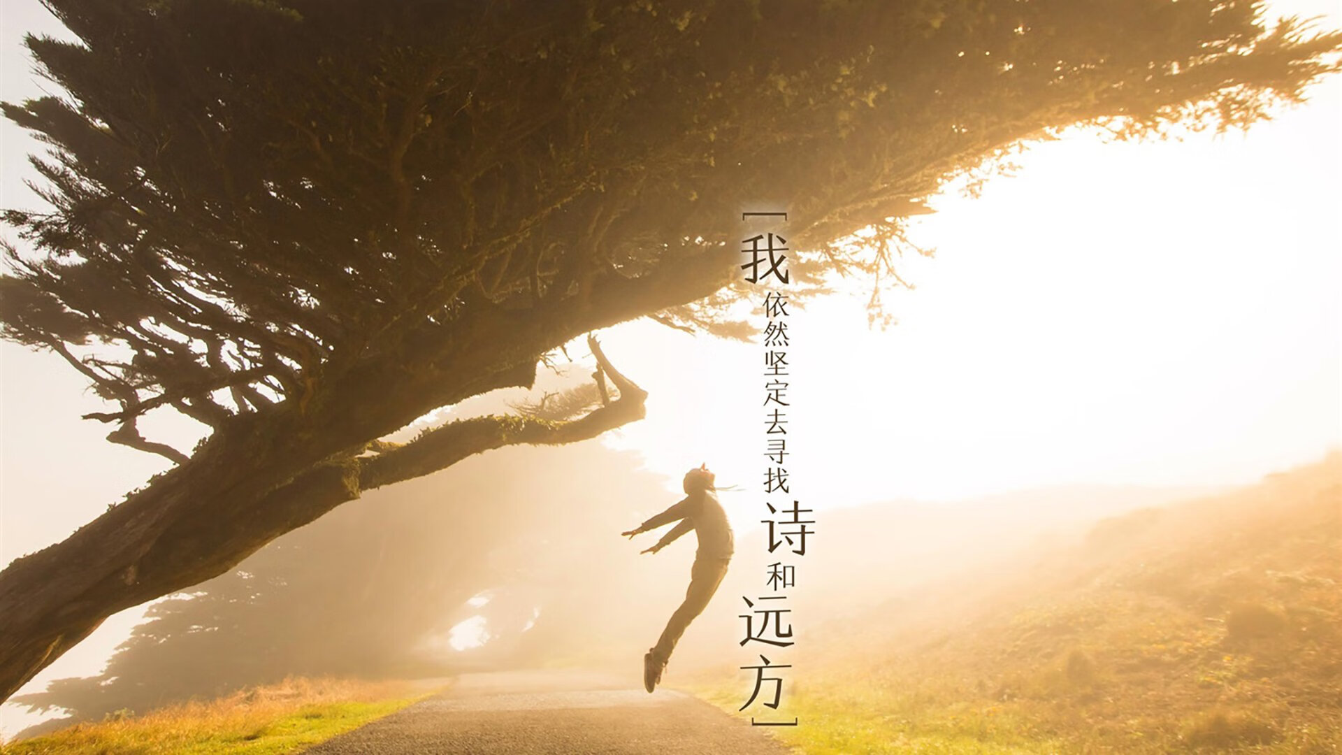 黄沙与海风的终极碰撞，费利克斯一剑封喉，伊朗挺进2026世界杯的唯一时刻